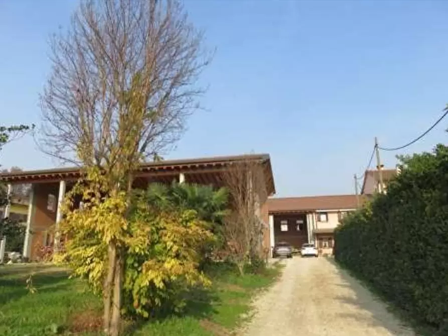 Immagine 7 di Azienda agricola in vendita  in Via Malfattini a Loreggia