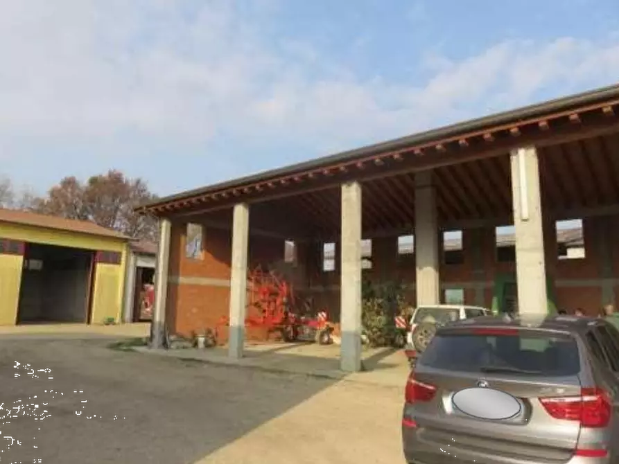 Immagine 12 di Azienda agricola in vendita  in Via Malfattini a Loreggia