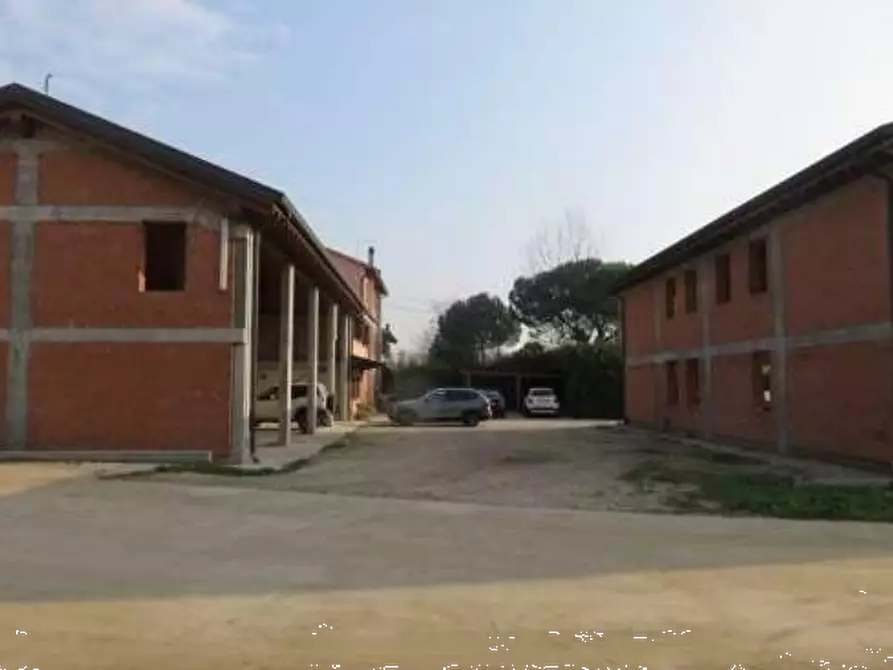 Immagine 14 di Azienda agricola in vendita  in Via Malfattini a Loreggia