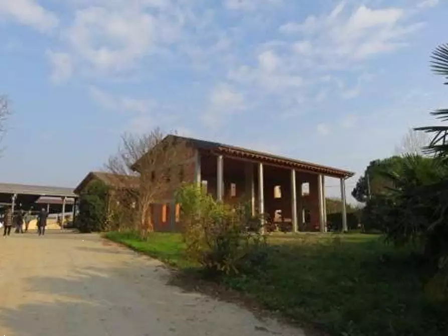 Immagine 16 di Azienda agricola in vendita  in Via Malfattini a Loreggia