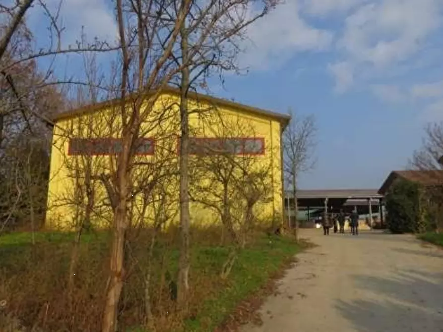 Immagine 20 di Azienda agricola in vendita  in Via Malfattini a Loreggia