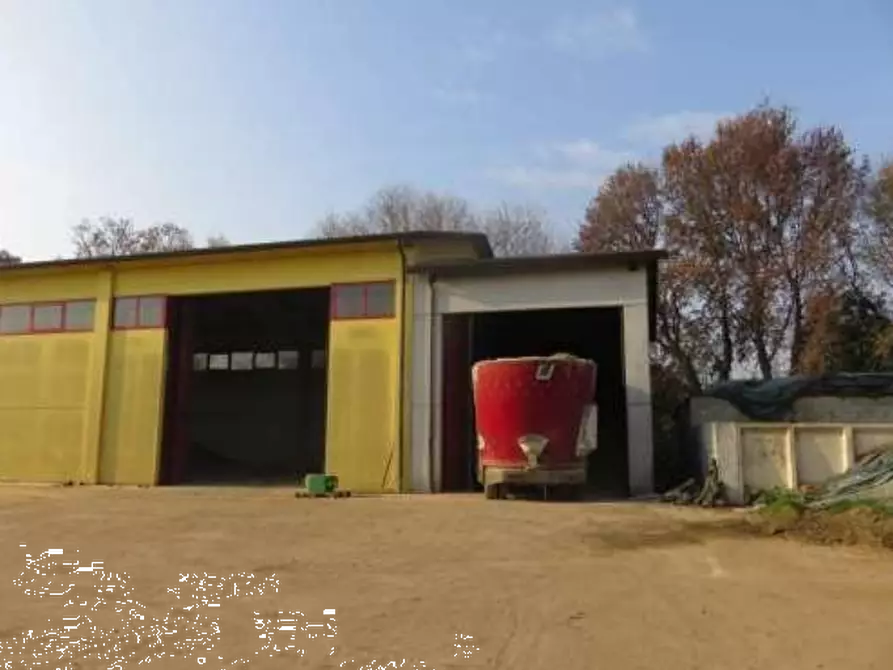 Immagine 21 di Azienda agricola in vendita  in Via Malfattini a Loreggia