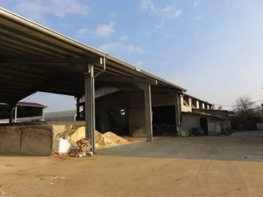 Immagine 22 di Azienda agricola in vendita  in Via Malfattini a Loreggia