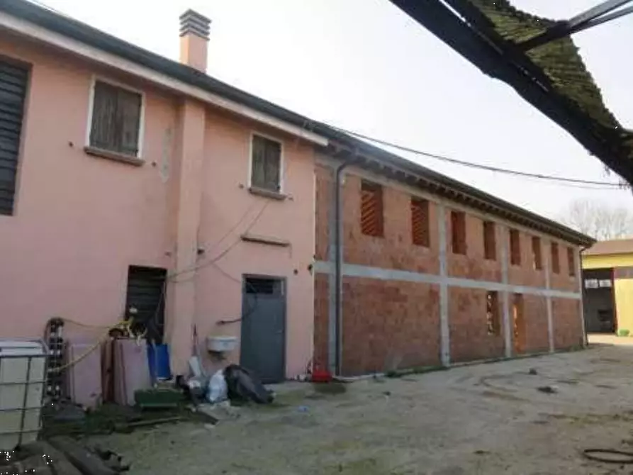 Immagine 25 di Azienda agricola in vendita  in Via Malfattini a Loreggia