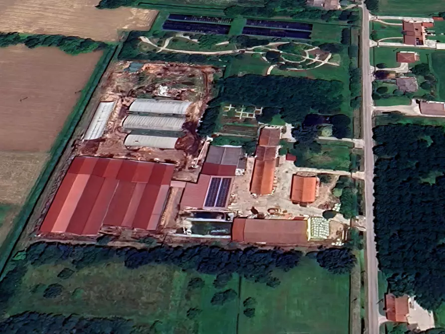 Immagine 28 di Azienda agricola in vendita  in Via Malfattini a Loreggia
