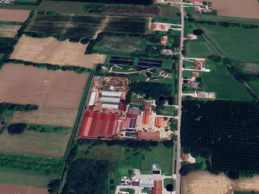 Immagine 29 di Azienda agricola in vendita  in Via Malfattini a Loreggia