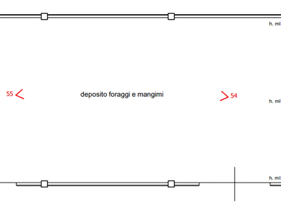 Immagine 36 di Azienda agricola in vendita  in Via Malfattini a Loreggia