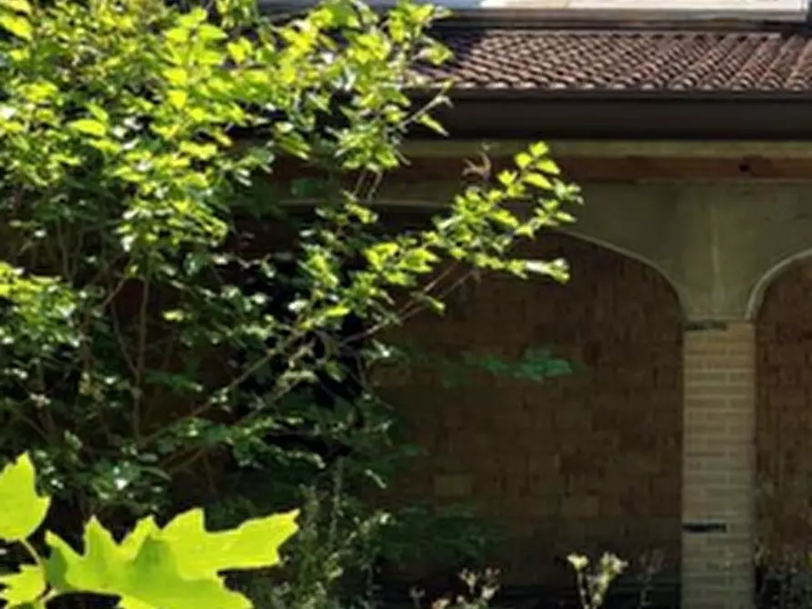 Immagine 6 di Magazzino in vendita  in Via Lova a Campolongo Maggiore