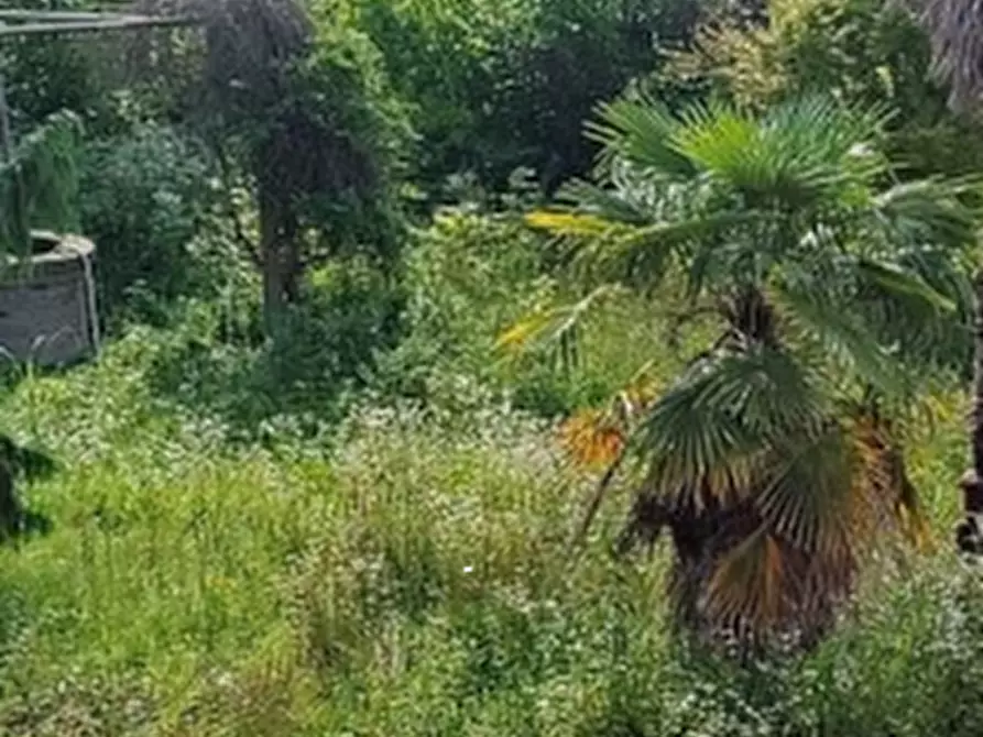 Immagine 11 di Magazzino in vendita  in Via Lova a Campolongo Maggiore