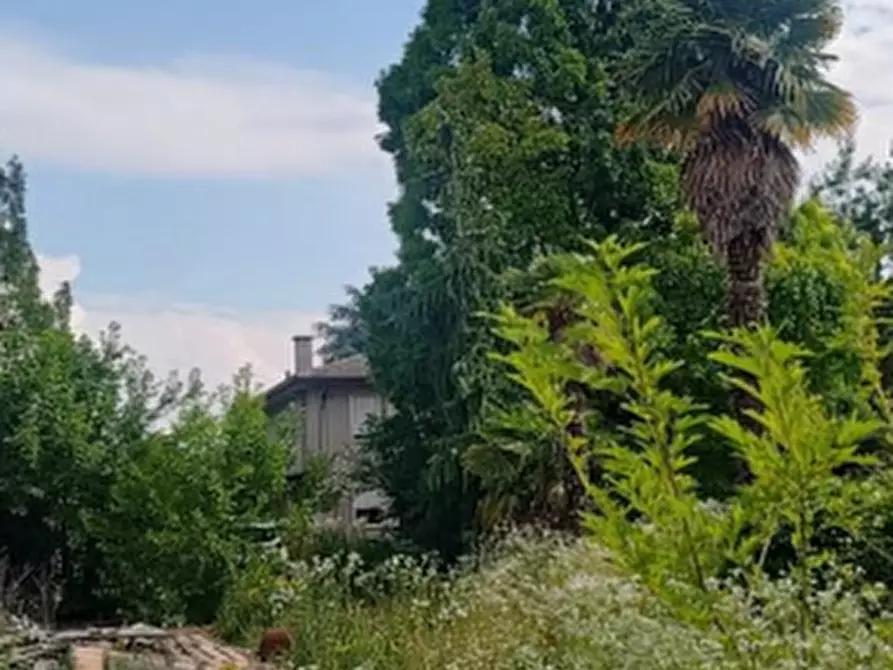 Immagine 12 di Magazzino in vendita  in Via Lova a Campolongo Maggiore