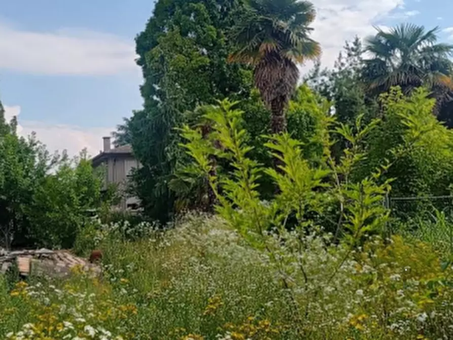 Immagine 14 di Magazzino in vendita  in Via Lova a Campolongo Maggiore