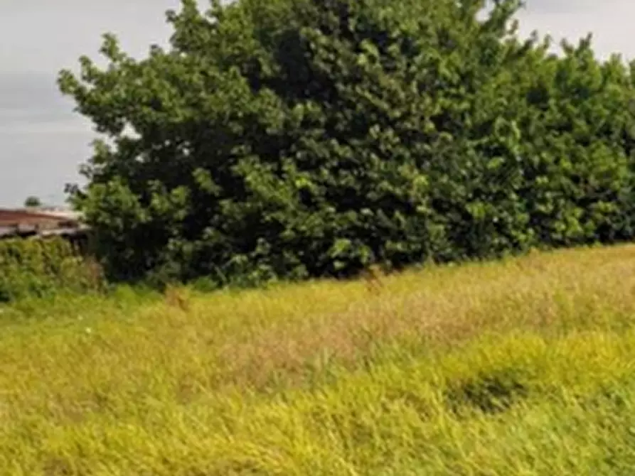 Immagine 15 di Magazzino in vendita  in Via Lova a Campolongo Maggiore