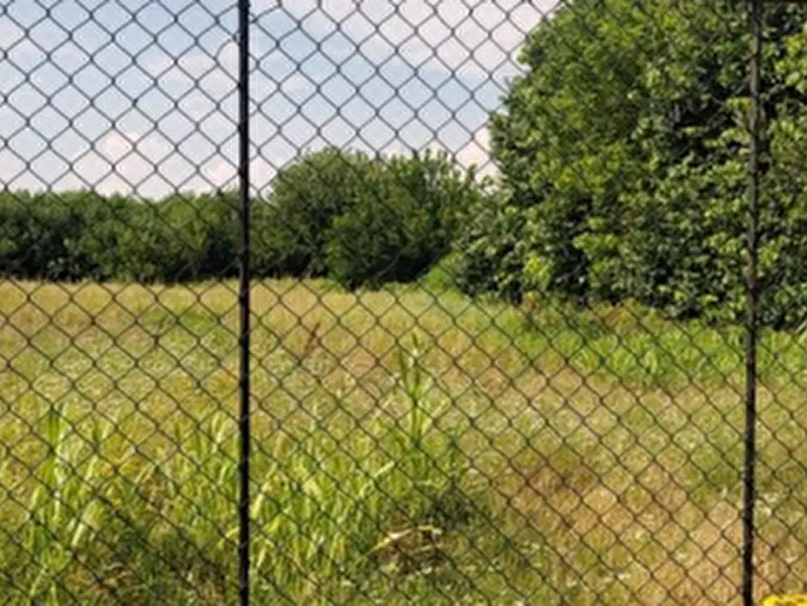 Immagine 16 di Magazzino in vendita  in Via Lova a Campolongo Maggiore