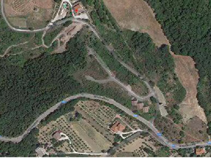 Immagine 5 di Terreno edificabile in vendita  in Loc. Selvella a Allerona