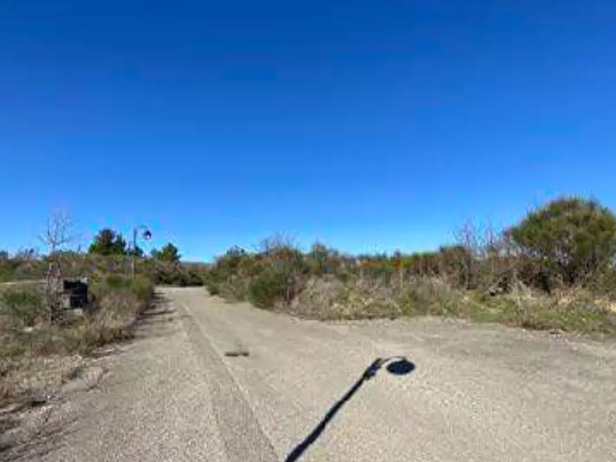 Immagine 3 di Terreno edificabile in vendita  in Loc. Selvella a Allerona