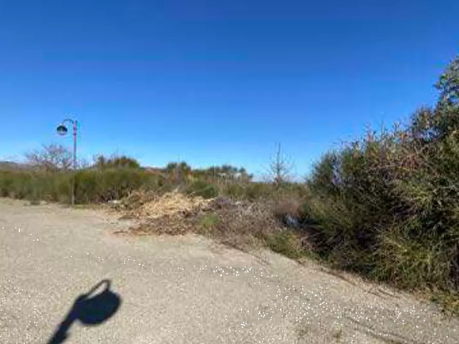 Immagine 2 di Terreno edificabile in vendita  in Loc. Selvella a Allerona