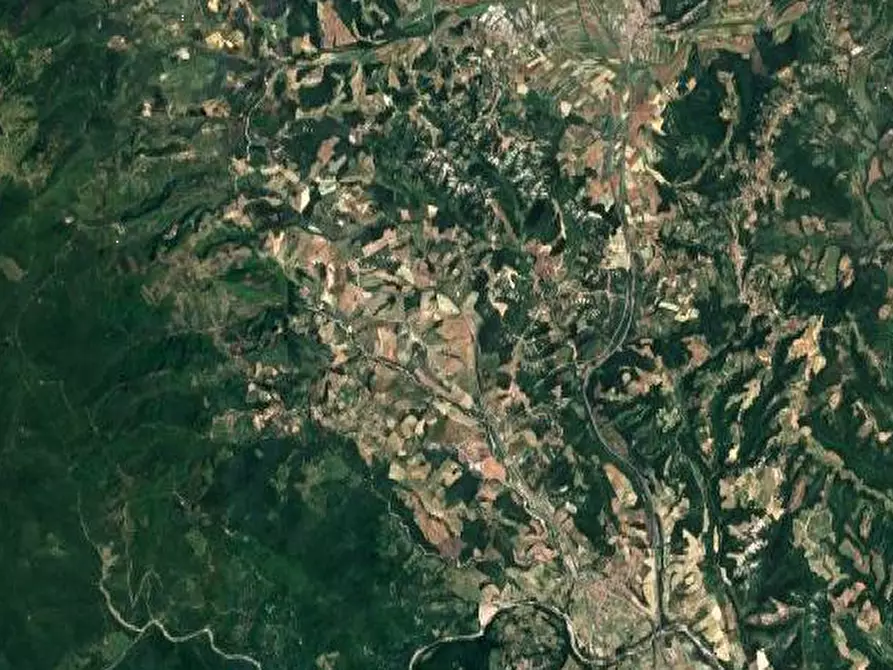 Immagine 3 di Terreno edificabile in vendita  in Loc. Selvella a Allerona