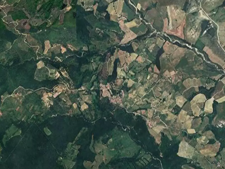 Immagine 5 di Terreno edificabile in vendita  in Loc. Selvella a Allerona