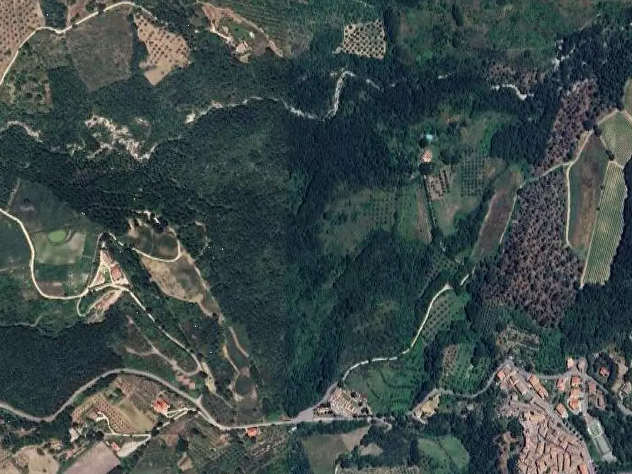 Immagine 6 di Terreno edificabile in vendita  in Loc. Selvella a Allerona