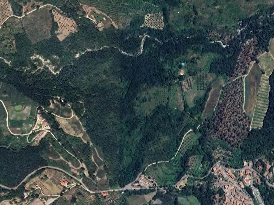 Immagine 7 di Terreno edificabile in vendita  in Loc. Selvella a Allerona