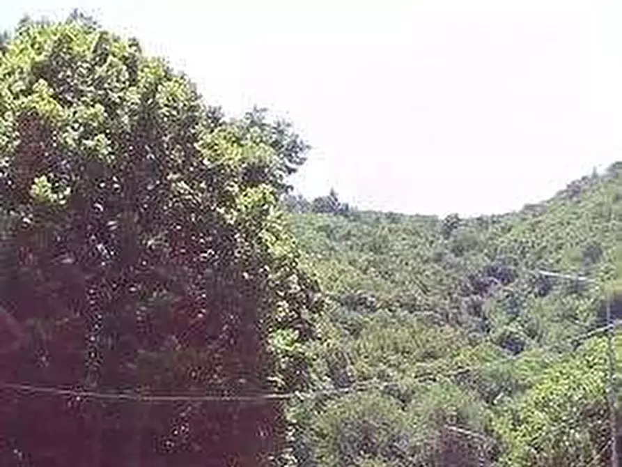 Immagine 4 di Appartamento in vendita  in Via Montecompatri a Monte Porzio Catone