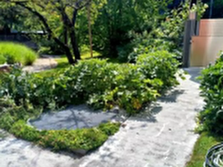 Immagine 7 di Porzione di casa in vendita  in Via Riva del Pasubio a Cittadella