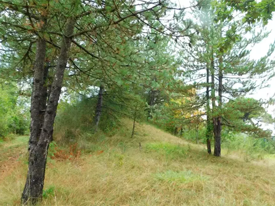 Immagine 3 di Casa indipendente in vendita  in Località Cavazzola  a Terenzo