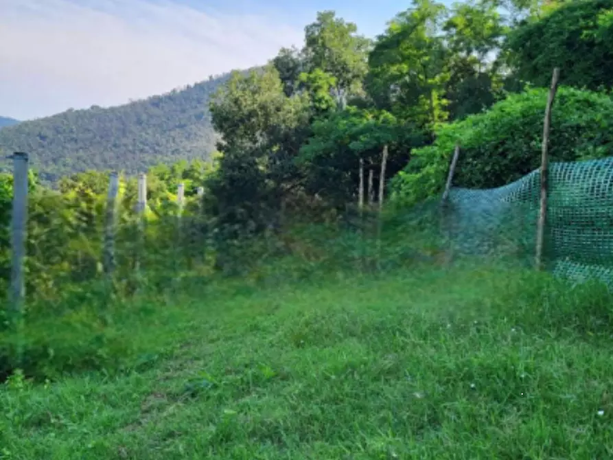 Immagine 7 di Terreno agricolo in vendita  in Via Regazzoni Bassa a Montegrotto Terme