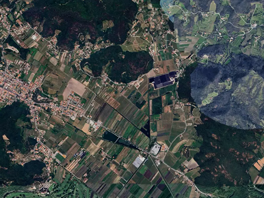 Immagine 9 di Terreno agricolo in vendita  in Via Regazzoni Bassa a Montegrotto Terme