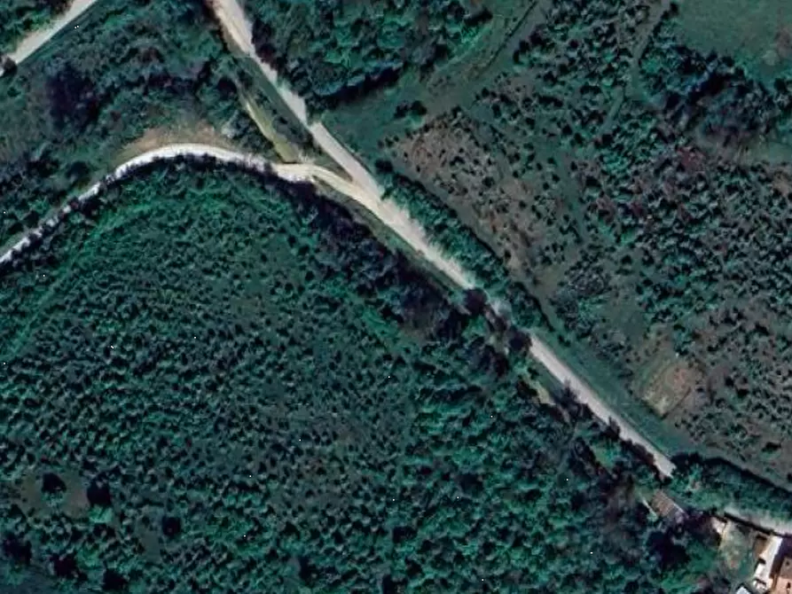 Immagine 2 di Terreno agricolo in vendita  in Via Rio Cozzi a Castrocaro Terme E Terra Del Sole