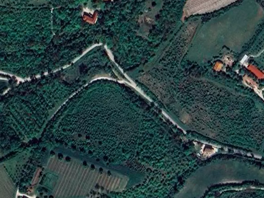 Immagine 3 di Terreno agricolo in vendita  in Via Rio Cozzi a Castrocaro Terme E Terra Del Sole