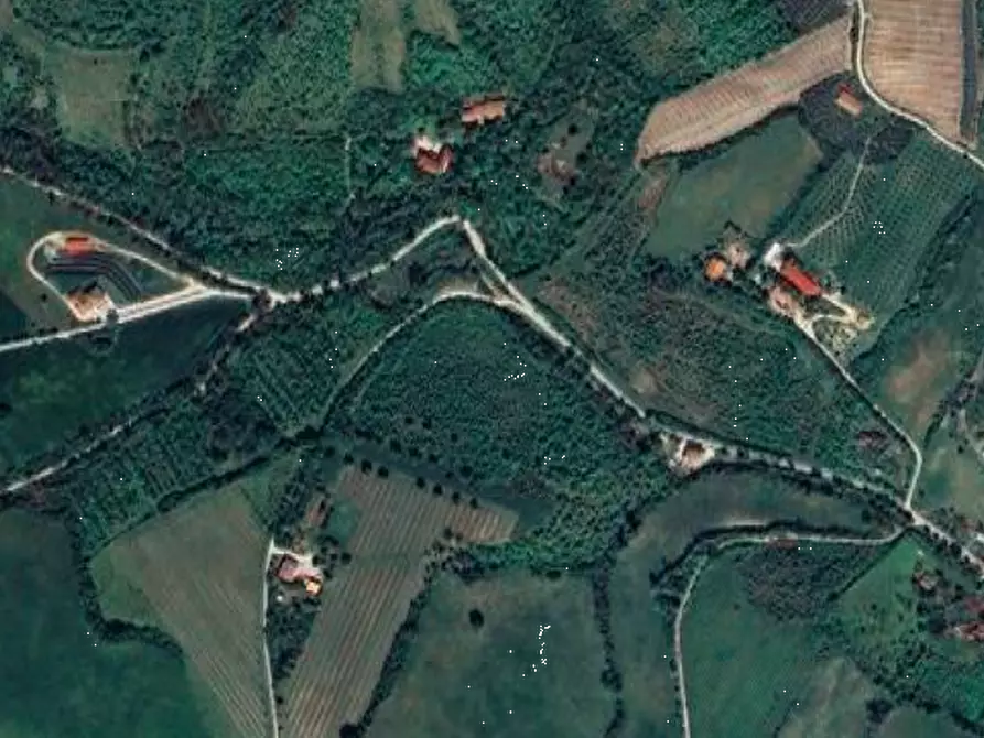 Immagine 4 di Terreno agricolo in vendita  in Via Rio Cozzi a Castrocaro Terme E Terra Del Sole