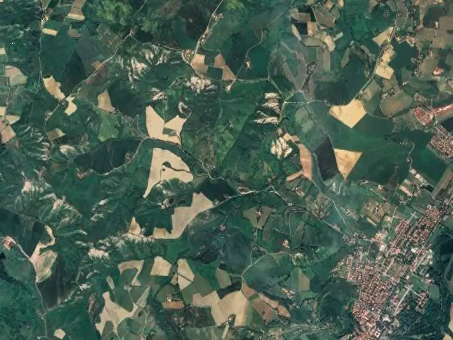 Immagine 7 di Terreno agricolo in vendita  in Via Rio Cozzi a Castrocaro Terme E Terra Del Sole