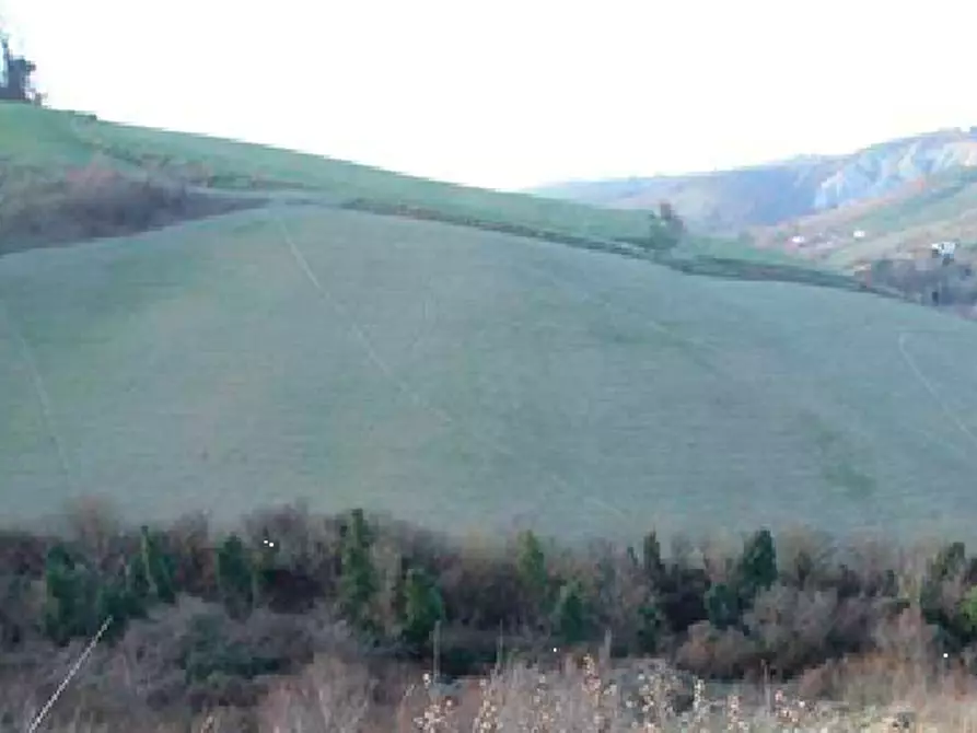 Immagine 1 di Terreno agricolo in vendita  in Via Rio Cozzi a Castrocaro Terme E Terra Del Sole