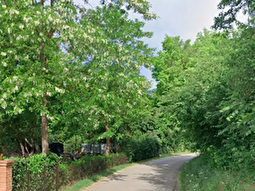 Immagine 8 di Terreno agricolo in vendita  in Via Rio Cozzi a Castrocaro Terme E Terra Del Sole