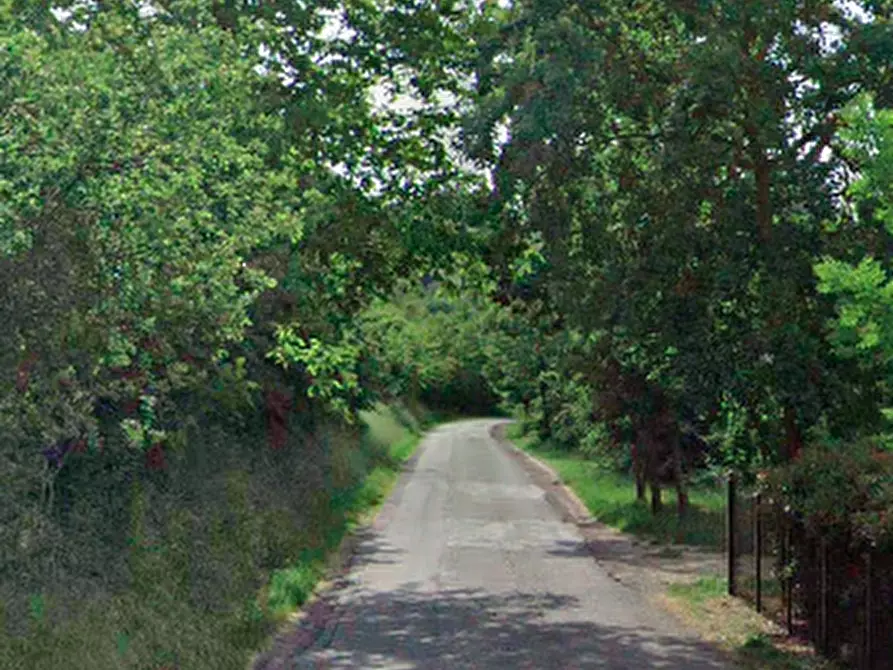 Immagine 9 di Terreno agricolo in vendita  in Via Rio Cozzi a Castrocaro Terme E Terra Del Sole