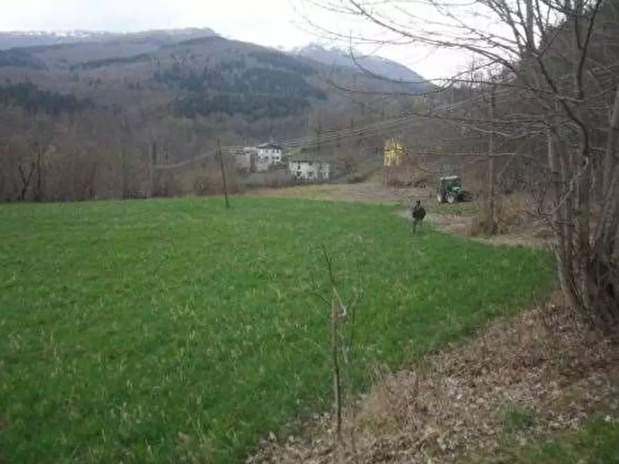 Immagine 2 di Terreno edificabile in vendita  in Via Radici a Pievepelago