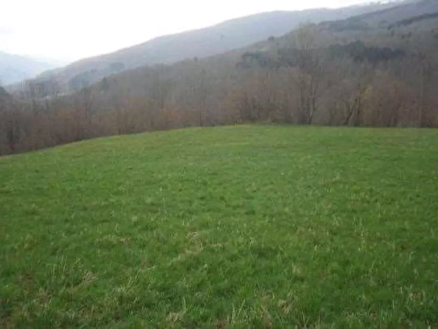 Immagine 3 di Terreno edificabile in vendita  in Via Radici a Pievepelago