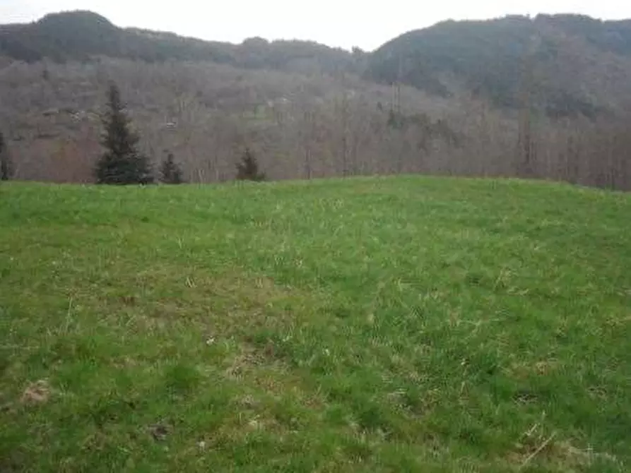 Immagine 4 di Terreno edificabile in vendita  in Via Radici a Pievepelago