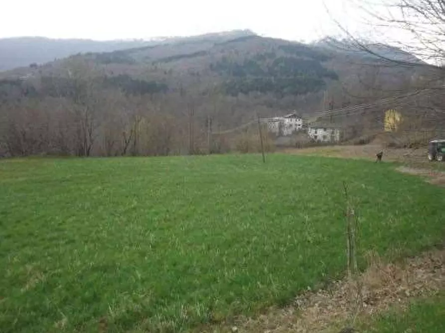 Immagine 5 di Terreno edificabile in vendita  in Via Radici a Pievepelago