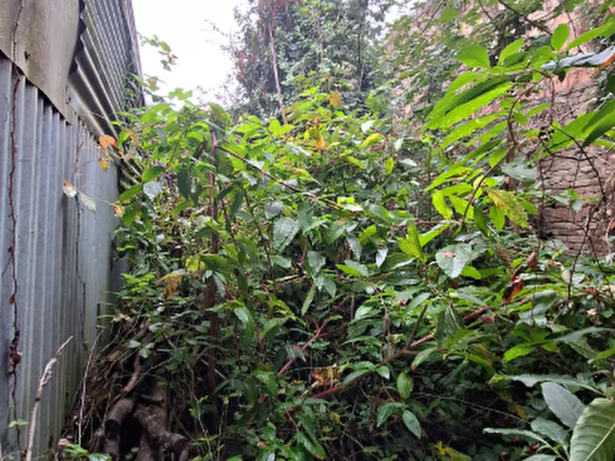 Immagine 3 di Porzione di casa in vendita  in Via Ludovico Ariosto a Migliaro