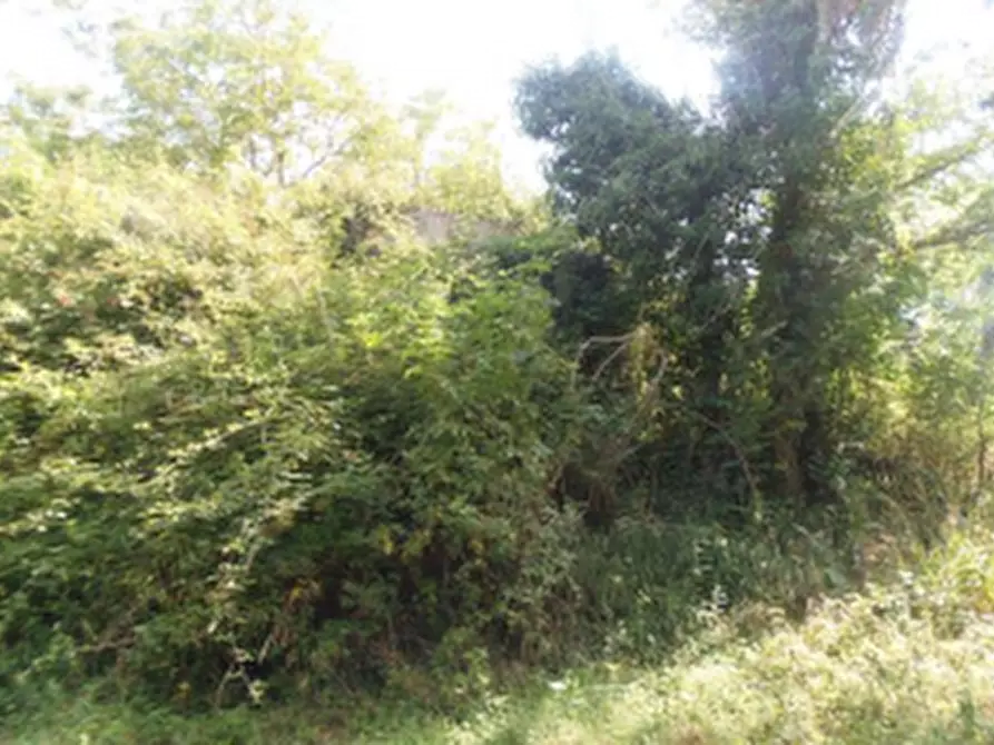 Immagine 12 di Rustico / casale in vendita  in Via Mulino a Sogliano Al Rubicone