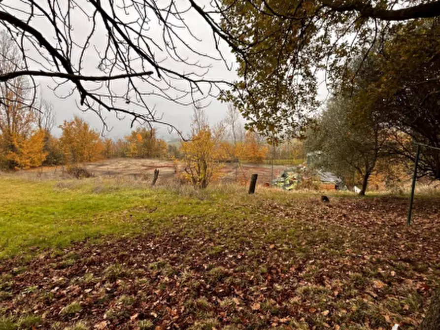 Immagine 6 di Casa indipendente in vendita  in Via Conventino a Castel San Pietro Terme
