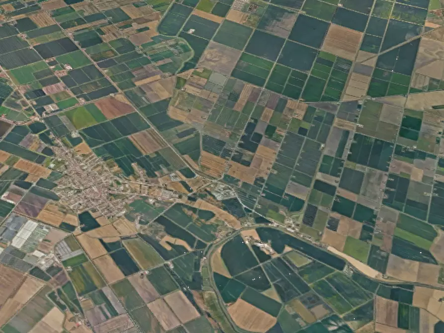 Immagine 5 di Negozio in vendita  in Via Ludovico Ariosto a Migliaro