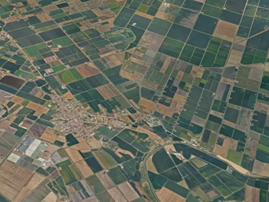 Immagine 6 di Negozio in vendita  in Via Ludovico Ariosto a Migliaro