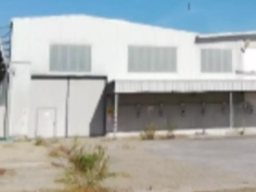 Immagine 6 di Capannone industriale in vendita  in via Reale a Alfonsine