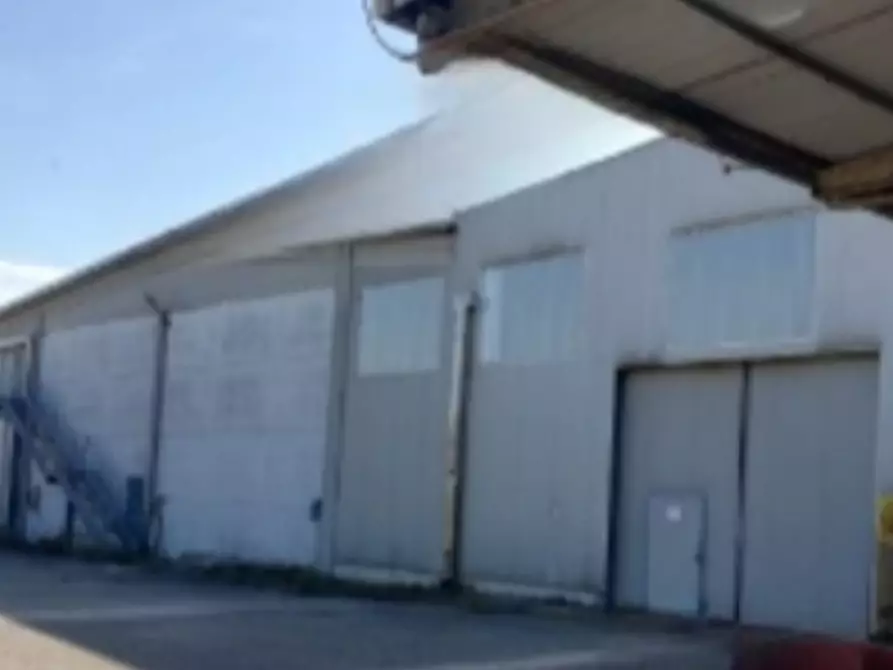 Immagine 8 di Capannone industriale in vendita  in via Reale a Alfonsine