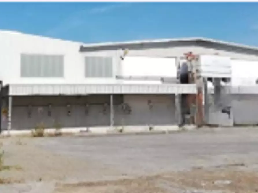 Immagine 10 di Capannone industriale in vendita  in via Reale a Alfonsine