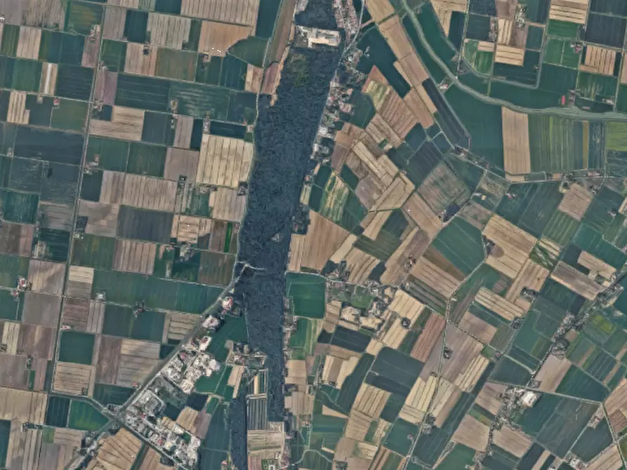 Immagine 1 di Terreno agricolo in vendita  in Via Romea a Mesola