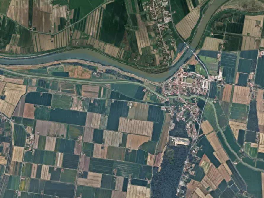 Immagine 2 di Terreno agricolo in vendita  in Via Romea a Mesola